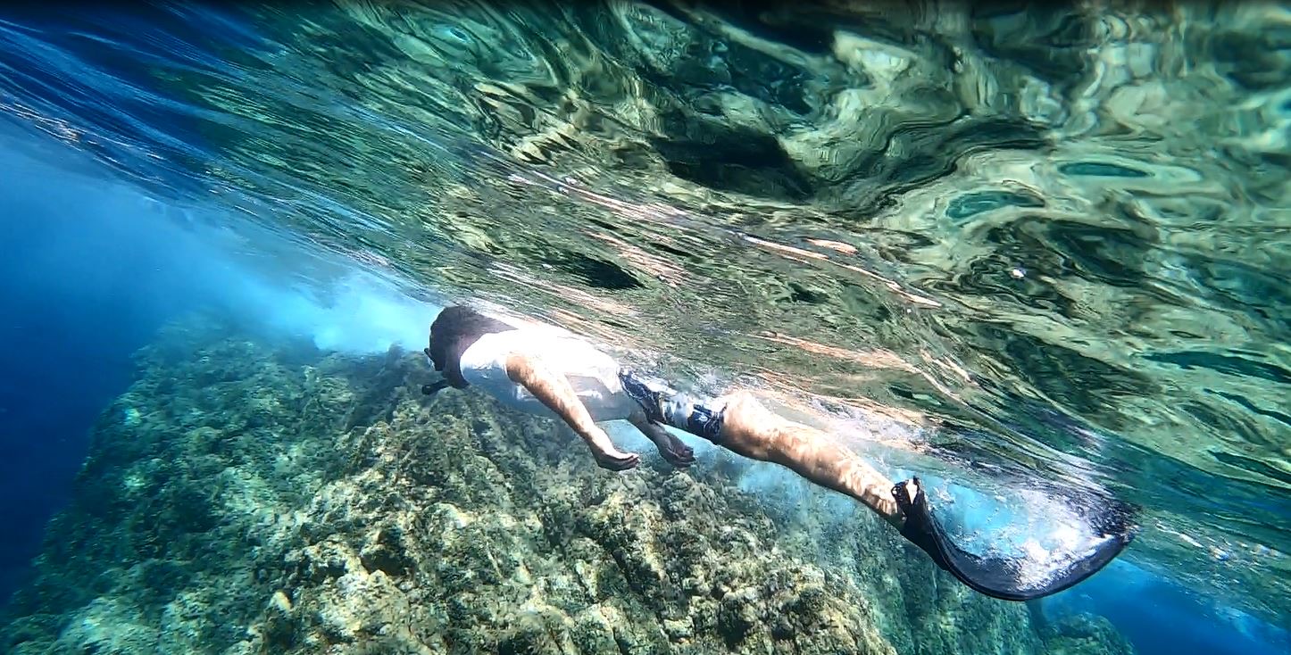 Exploration sous-marine - Théoule-sur-Mer