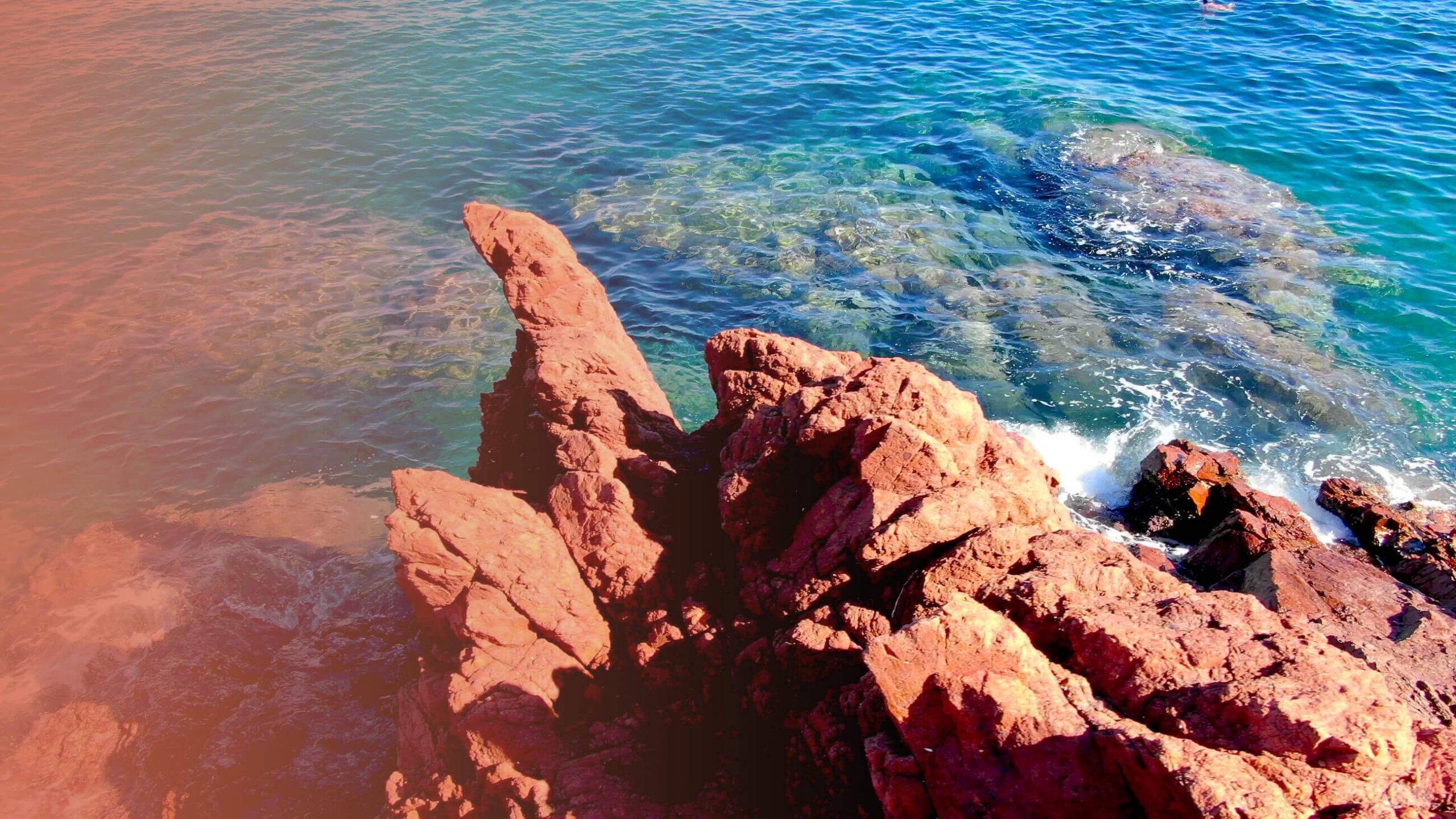 Sortie en mer - Nager dans le Bonheur